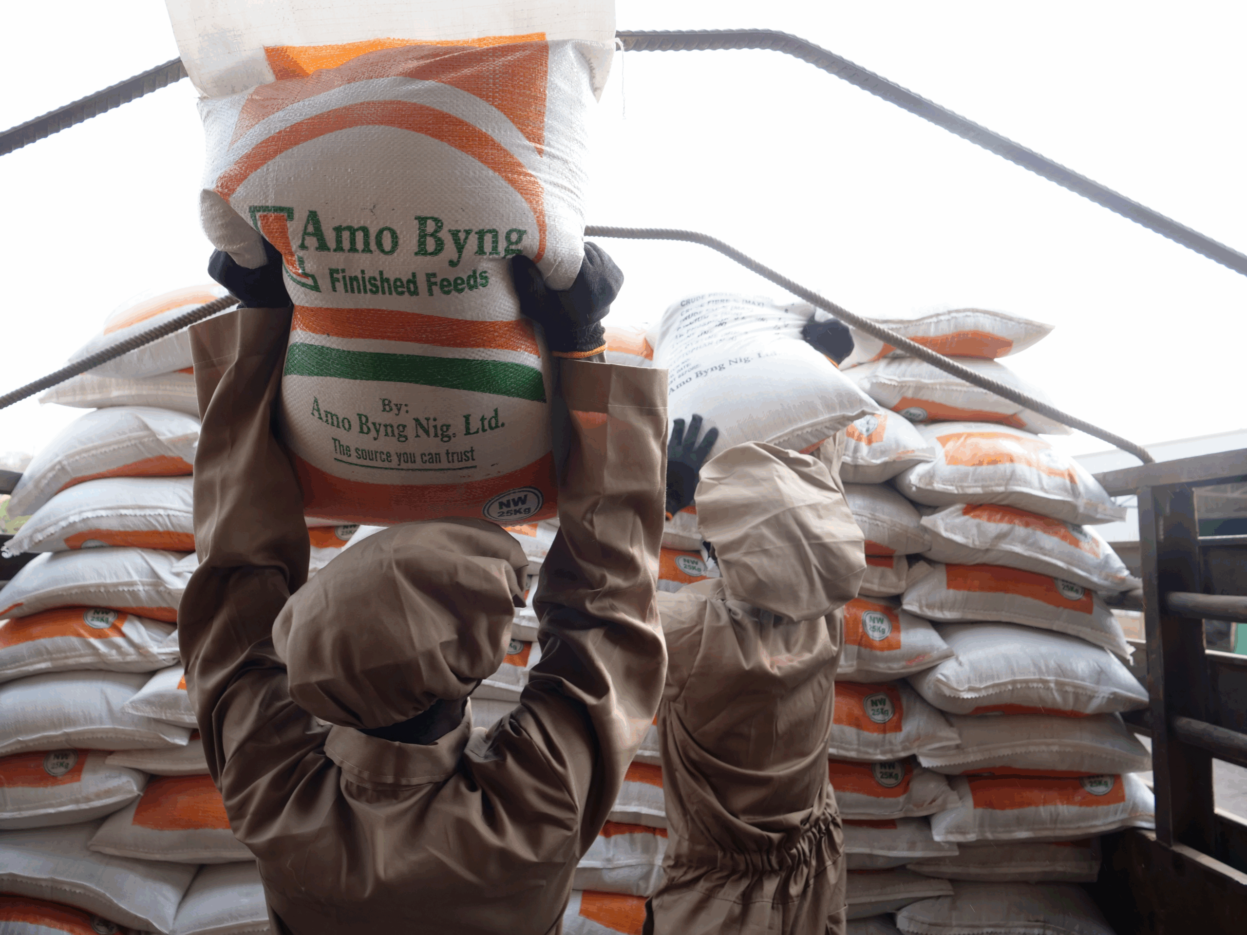 Your Success is Our Purpose in 2026: Best Poultry Feed for Farmers