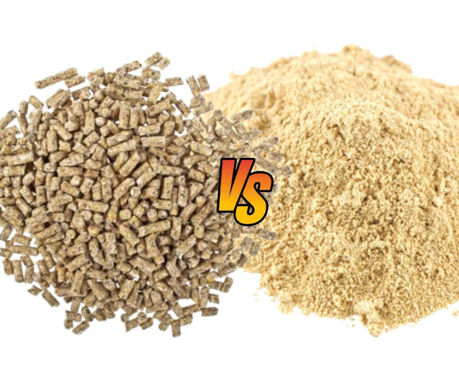 Pellet vs. Mash: Which Poultry Feed Form is Best for Your Birds?