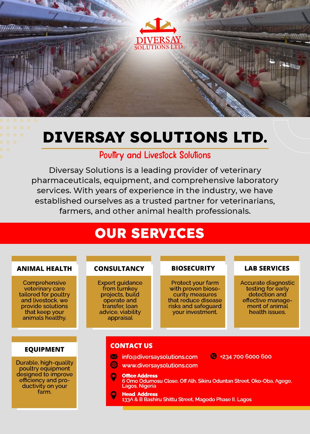 Feed Mill and Poultry Consultancy Services in Nigeria | Diversay Solutions Limited