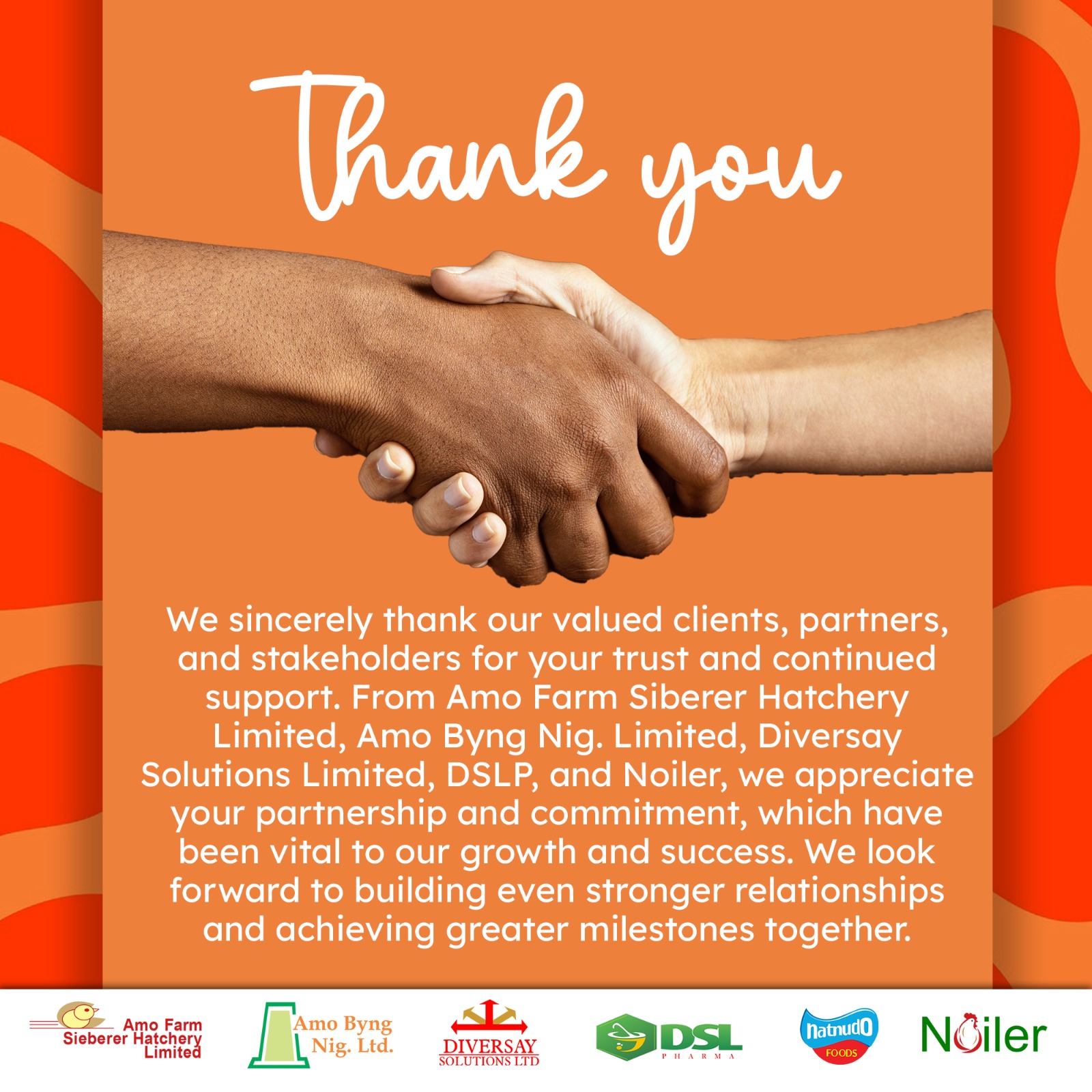 Amo Byng Nig Ltd Thanks You for Your Partnership in 2025